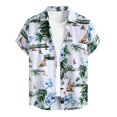 thumbnail image 1 of Camisas Y Playeras Camisas de un solo pecho de primavera y verano para hombre, camisa informal de manga corta con solapa para playa y vacaciones al libre (Green, XXL), 1 of 7