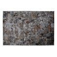 thumbnail image 1 of Tapis Primo International Camden, 1 of 2
