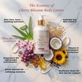 thumbnail image 2 of Cherry Blossom Natural Body Lotion | Soft Floral Moisturizer for Women, 2 of 6