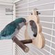thumbnail image 5 of Wooden Bird Mirror for Cage, Parakeet Toys, Interactive Toys,Bird Cage Accessories for Parrots Finch Canaries, 5 of 5