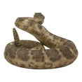 thumbnail image 4 of Ebros Realistic Diamondback Rattlesnake Hand Painted Taxidermy Statue 8.25"Long, 4 of 11