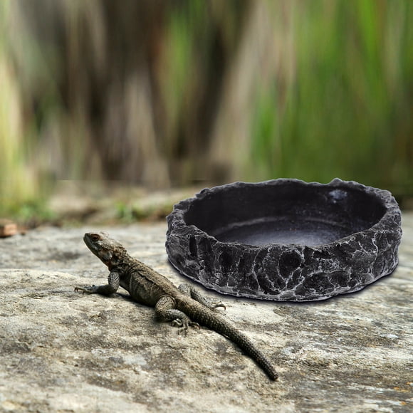 unbranded Bowl De Resina Negro Para Reptiles Con Base Antideslizante Para Y Comida