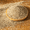 Beige-5 LB, variant on White 5 LB Aquarium Sand 0.8-2 mm Gravel for Fish Tanks, Crafts, and Decor