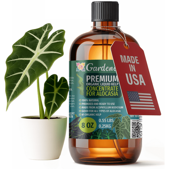 ⭐ GARDENERA Premium Organic Seaweed & Kelp Superfood for ALOCASIA Plants - 8 oz - Liquid Kelp Fertilizer Concentrate (Makes 45 Gallons)