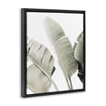thumbnail image 3 of Stupell Industries Muted Banana Leaves Black Framed Floater Canvas Wall Art, design by Sisi and Seb, 3 of 9