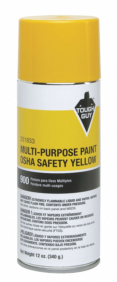 Spray Paint in Gloss OSHA Safety Yellow for Masonry, Metal, Wood, 12 oz