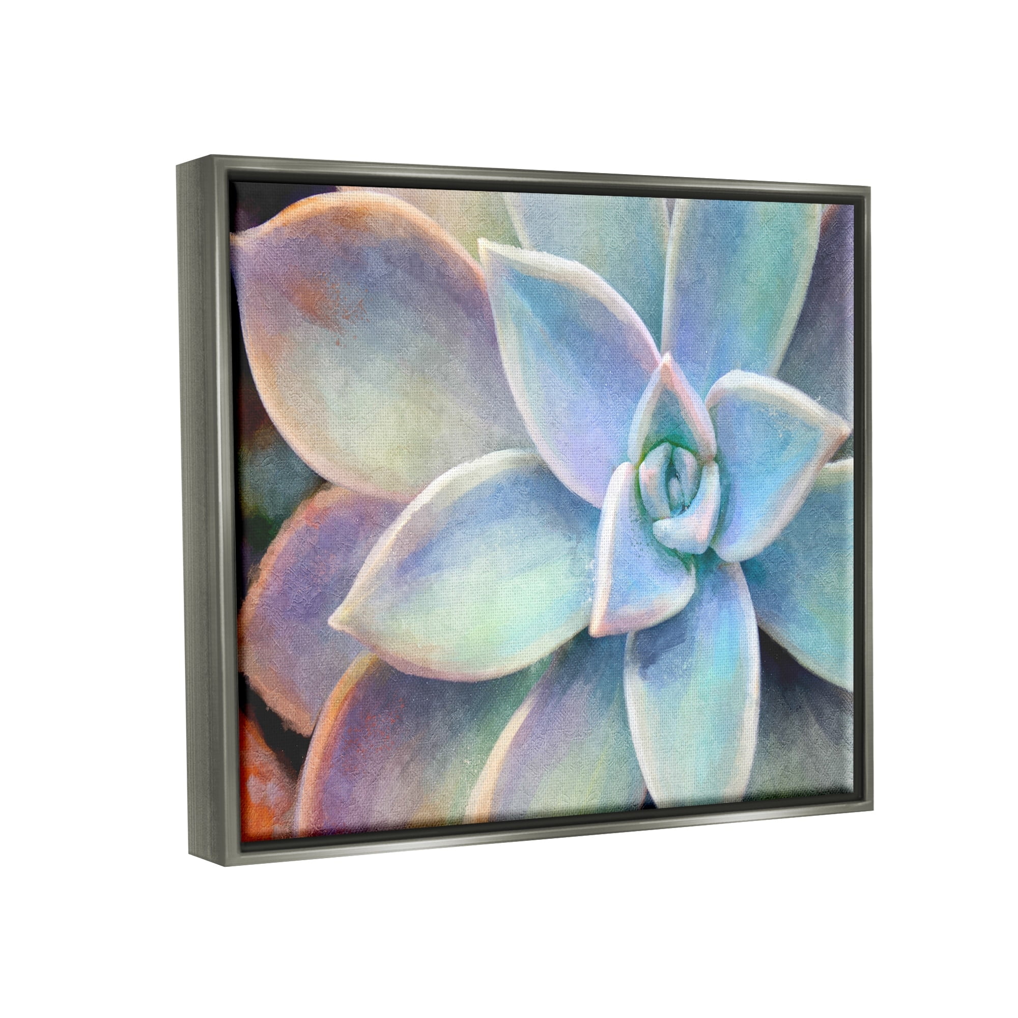 Stupell Industries Succulent Plant Vibrant Bloom Painting Luster Gray Framed Floating Canvas Wall Art, 24x30, by Joshua Chace