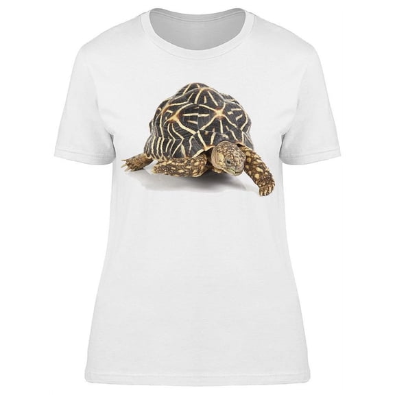 Cute Turtle Crawling T-Shirt Women -Image by Shutterstock, Female XX-Large