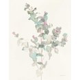thumbnail image 2 of Eucalyptus II Poster Print by Danhui Nai (24 x 30), 2 of 2