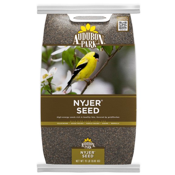 Finch Bird Seed