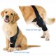 thumbnail image 3 of Rodillera Para Perros, Rodillera Para Perros Con Soporte Acl, Correa Ajustable Para Pierna Para Lesiones De Ligamentos, 3 of 7