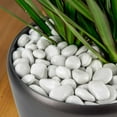 thumbnail image 2 of PolyPebbles Polished Composite Decorative Stones | Triple The Coverage of Natural Stone | 100% Recycled Materials + Nature Friendly | Won't Fade or Crack | Small (.5" - 1") Size | 2.4 Lbs Light Grey, 2 of 8