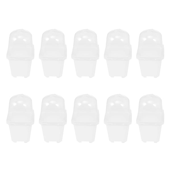 Pack 24 Macetas Cuadradas Transparentes 7cm - Con Bandeja, Para Semillas, Suculentas, Cactus, Jardinería