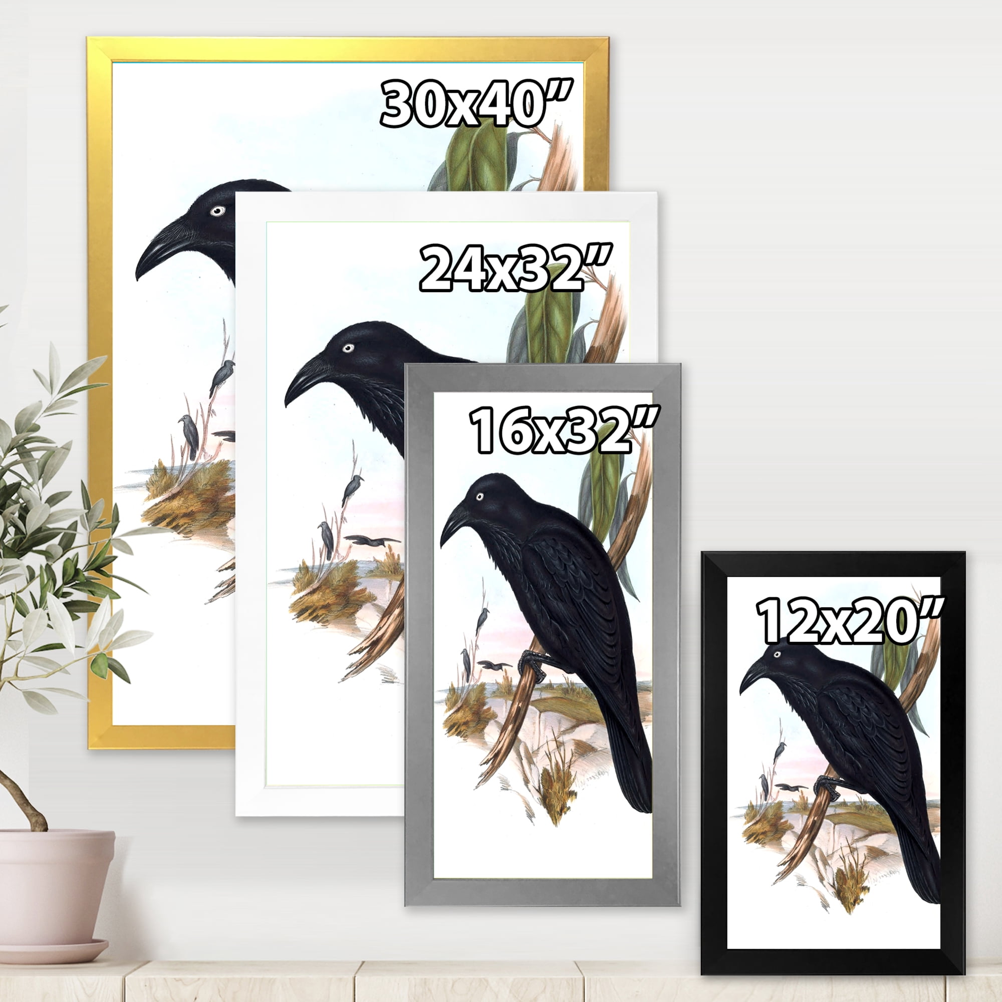 Designart 'Ancient Australian Birds VI' Traditional Framed Art Print