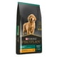 thumbnail image 3 of Alimento Para Perro Pro Plan Optistart  Cachorro Razas Medianas de 13 Kg, 3 of 3