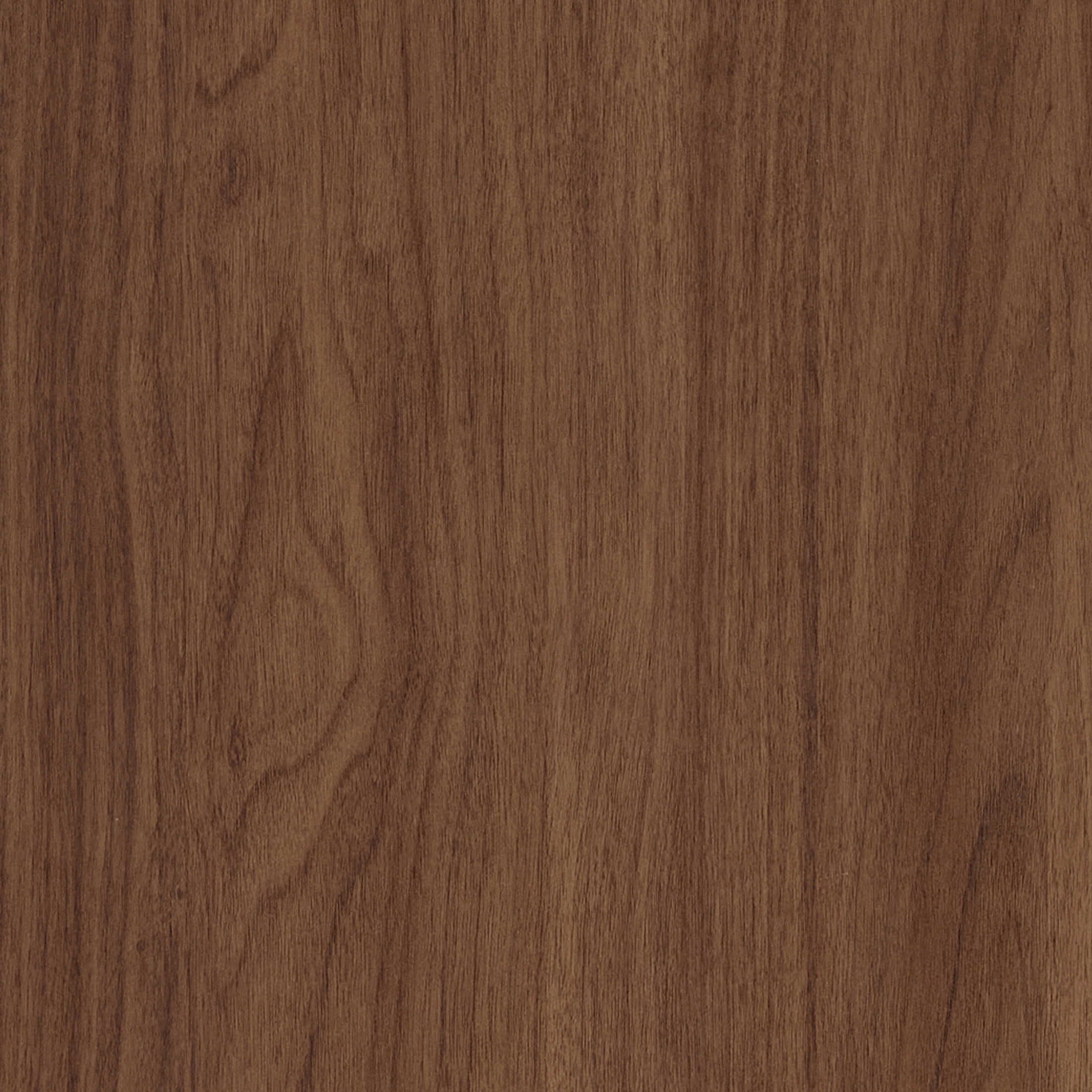 Evelyn&Zoe Modern/Contemporary 48" Wide Satin Walnut Home Office