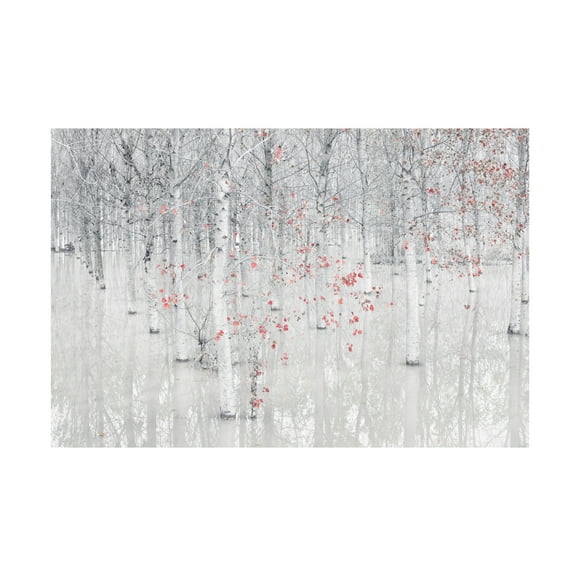 Fiorenzo Carozzi 'Red A White' Canvas Art