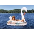 thumbnail image 3 of Pathfinder Inflatable 57" 1-Person Unisex Swan Float with Elegant Vine Design and Cupholder, 3 of 4