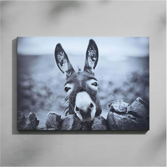 Aaheei Charming Black and White Donkey Canvas Wall Art | Funny Farm Animal Print for Rustic Home Decor Artwork | Waterproof Bathroom Picture Decor | Ready to Hang