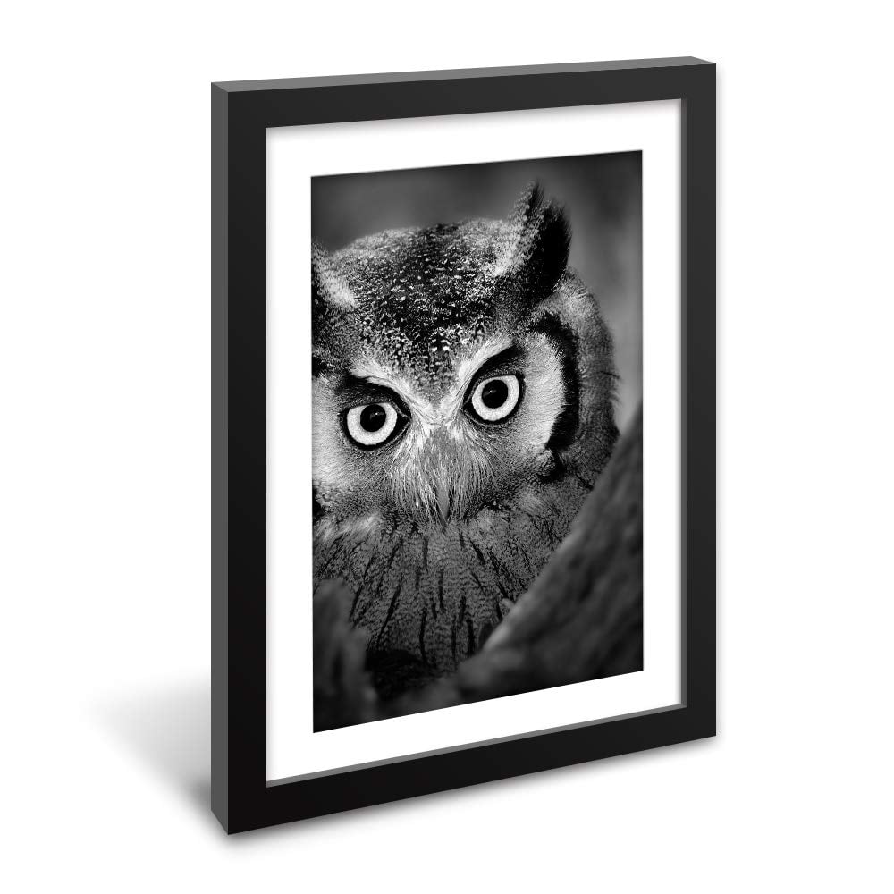 Black Picture Frames White Matting an Owl in Black White wall26 Framed Wall Art