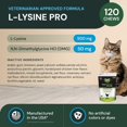 thumbnail image 3 of Suplemento VetriScience Lysine Pro para el cuidado inmunológico y ocular para gatos, 3 of 8