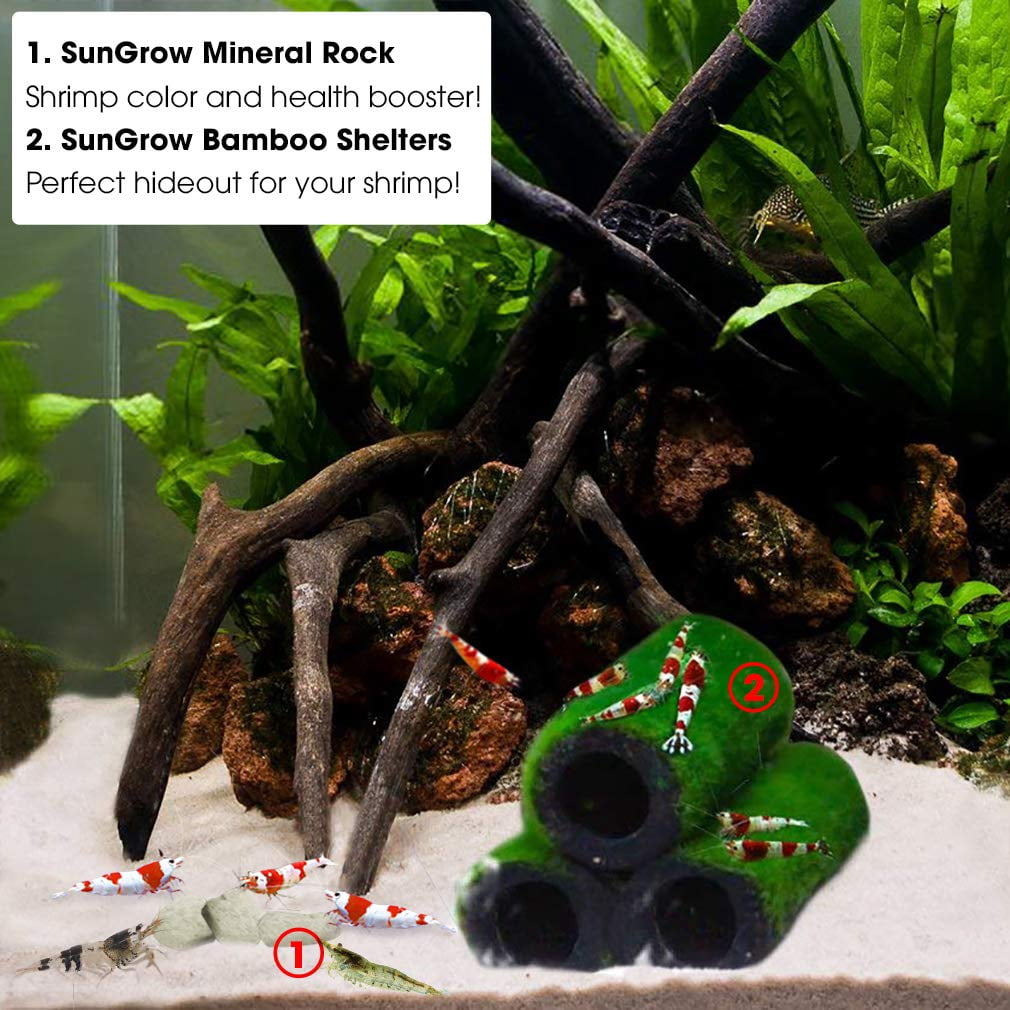 SunGrow Mineral Rocks for Shrimp, Crawfish, Snails, Calcium Helps in Molting, Enhance Shell Color and Strength, Best Support for Shell-Shedding, 1.7 oz