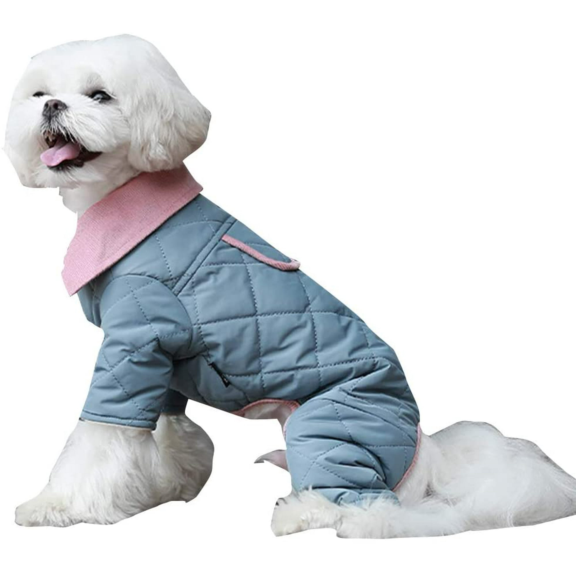 Is Cold Weather Bad For Dogs