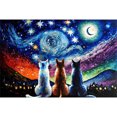 thumbnail image 1 of Kit Pintura Por Números Sobre Lienzo Arte Al Óleo Artesanal Imagen Gato Noche Estrellada 60x40cm, 1 of 9