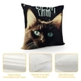thumbnail image 4 of Funny Cat Gifts, Black Cat Mom Gifts, Funny Quote It‚Äôs Not Cat Hair It‚Äôs Kitty Glitter Throw Pillow Cover, Cat Gifts for , Cat Gifts for Women,, 4 of 5
