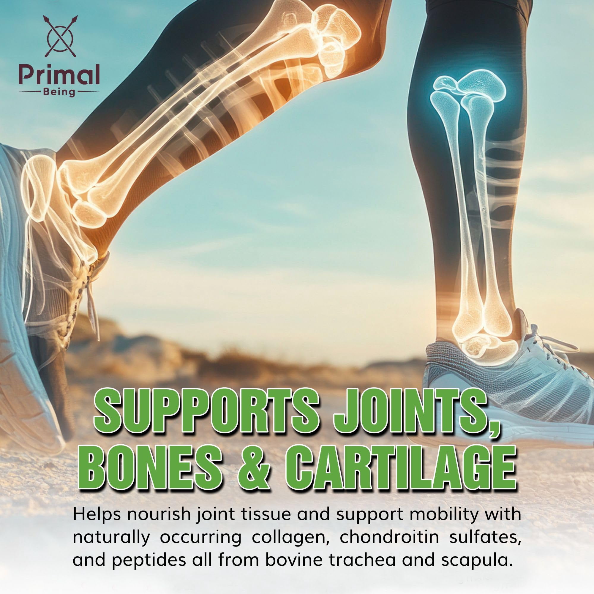 Primal Being Grassfed Beef Cartilage Collagen (Type I-V & XI)- Supports Hair, Skin, Nails, Joint Health, Immunity, Digestion, Post Exercise Recovery - 120 Capsules, 3000 mg per Serving