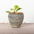 thumbnail image 2 of Set of 2 Black And Beige Lined Pattern Planter, 2 of 2
