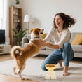 thumbnail image 6 of Elevated Dog Bowl - Raised Food Feeder, Ongmies Non-Slip Pet Dish with Sturdy Base, Feeding Station with Comfortable Height, Kitchen Home Indoor Outdoor, Dining Bowl for Travel Apartment, 6 of 9