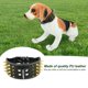 thumbnail image 2 of Anillo De Cuello De Perro Fashionbale, Collar De Mascota Con Pinchos, Para Perro, 2 of 8