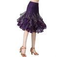 thumbnail image 6 of Women Ballroom Latin Tango Dance Skirt Sequin Dress Dance Skirt Hip Skirt Plate B, 6 of 9