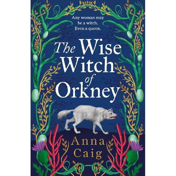 Anna Caig The Wise Witch of Orkney (Hardcover)