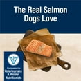 thumbnail image 4 of Blue Buffalo True Solutions Skin & Coat Care Natural Dry Dog Food, Salmon, 24-lb. Bag, 4 of 13