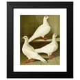 thumbnail image 2 of Gustav Prütz 15x18 Black Modern Framed Museum Art Print Titled - Smooth-Footed, Flat-To-Face Long Beak Tomcat (1884-1886), 2 of 5