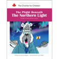 thumbnail image 1 of The Plight Beneath the Northern Light The Right to Meet and Form Groups, 1 of 1