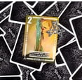 thumbnail image 4 of Bezier Games BEZSLVA Silver Fast & Engaging Traditional Card Game, 4 of 4