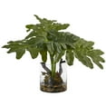 thumbnail image 1 of Philodendron Arrangement with Vase, 1 of 1