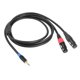 thumbnail image 2 of Adaptador Divisor Mini Jack 1/8 Pulgada A 2 XLR Y 3 5 Mm Cable Estéreo Dual, 2 of 9