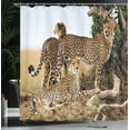 thumbnail image 4 of Ambesonne Wildlife Shower Curtain, Savannah Animal Cheetahs, 69"Wx84"L, Black Tan, 4 of 5