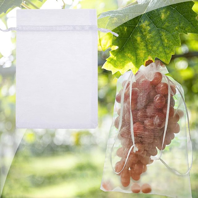 50 x Bolsas protectoras para frutas, bolsas de protección para uvas, bolsas de organza reutilizables para jardín con cordón para protección contra avispas y pájaros, 30 cm x 20 cm, blancas