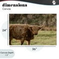 thumbnail image 4 of Stupell Industries Southwestern Scottish Highland Grazing Canvas Art, 36 x 24, by Crystal Lynn Collins, 4 of 8