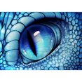 thumbnail image 1 of Taladro diamante pintura (DE8187) 5D DIY ojo completo punto de cruz bordado mosaico Kit 40x50cm FLhrweasw Nuevo, 1 of 1