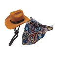 thumbnail image 2 of Accesorios de vestuario de vaquero de mascota sombrero de vaquero y pañuelo divertido para el cumpleaños del gato marino, 2 of 8
