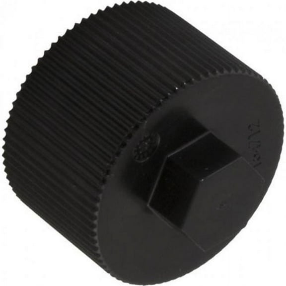 Pentair 154712 Drain Cap Replacement Pool and Spa Filter