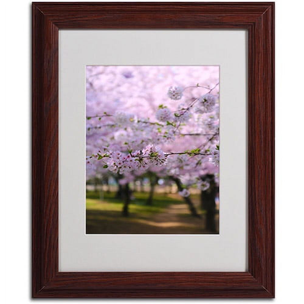 Trademark Fine Art "DC 2" Matted Framed Art by CATeyes