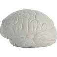 thumbnail image 2 of 1 Foam Brain Stress Ball - Office, Doctor, Med Student Anatomy - Doctor, Nurse, Med Students, Halloween, 2 of 3