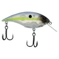 thumbnail image 2 of Berkley Shallow Money Badger Fishing Crankbait, 2.5 in, Hybrid Baitfish-Crayfish, 2 of 6